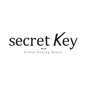 secret key logo